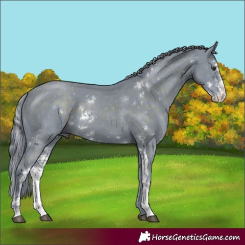 Horse Color:Watercolor Liver Chestnut Sabino 