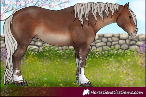Horse Color:Silver Brown Sabino Tobiano