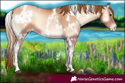 Horse Color:White Spotted Red Onyx Pearl