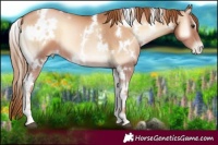 Horse Color:White Spotted Red Onyx Pearl 