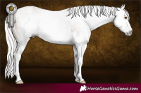 Horse Color:Gray White Spotted Silver Black Pearl Splash Rabicano 