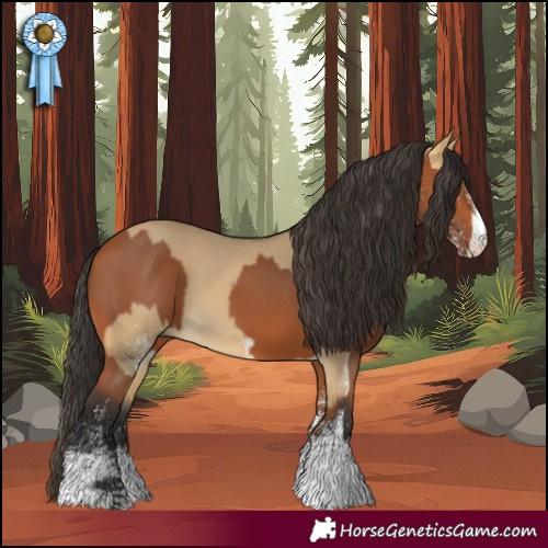 Horse Color:White Spotted Buckskin Dun  and White Spotted Bay 