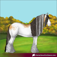 Horse Color:White Spotted Buckskin 