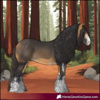 Horse Color:White Spotted Buckskin 