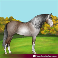 Horse Color:Gray Classic Champagne 