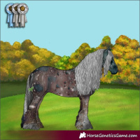 Horse Color:ERROR: UNKNOWN ANOMALY