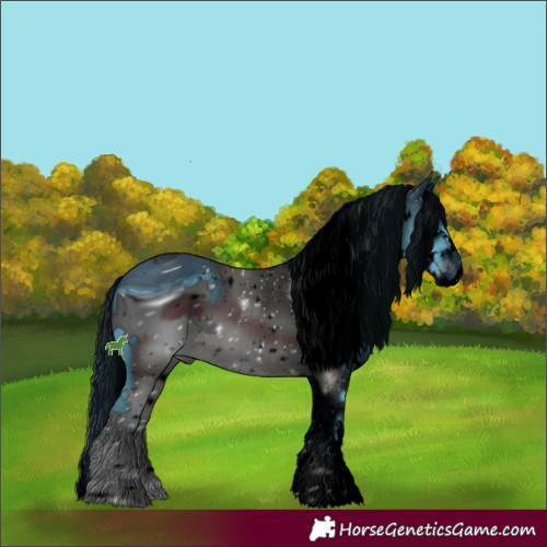 Horse Color:ERROR: UNKNOWN ANOMALY