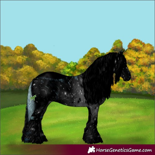 Horse Color:ERROR: UNKNOWN ANOMALY