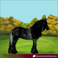 Horse Color:ERROR: UNKNOWN ANOMALY