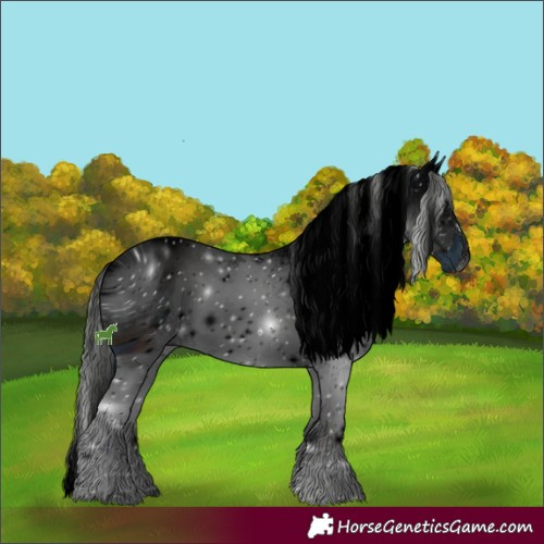 Horse Color:ERROR: UNKNOWN ANOMALY