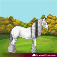 Horse Color:Brown Onyx Sabino