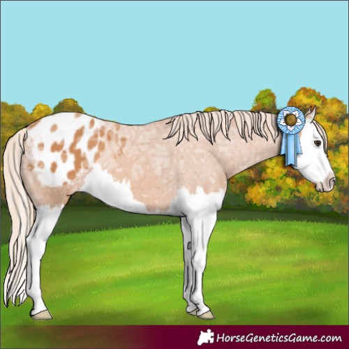 Horse Color:Chestnut Ice Splash Blanket 