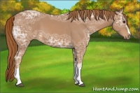 Horse Color:Chestnut Ice 