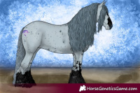 Horse Color:ERROR: UNKNOWN ANOMALY