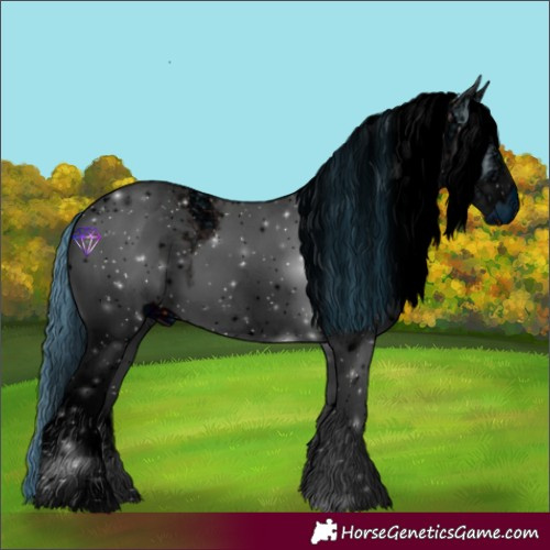 Horse Color:ERROR: UNKNOWN ANOMALY
