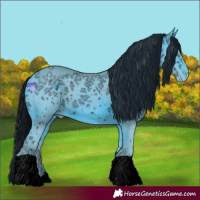 Horse Color:ERROR: UNKNOWN ANOMALY