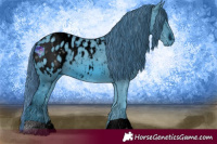 Horse Color:ERROR: UNKNOWN ANOMALY