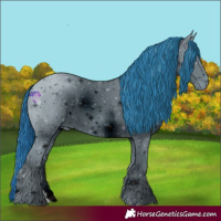 Horse Color:ERROR: UNKNOWN ANOMALY