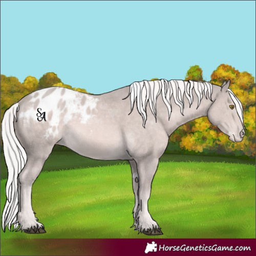 Horse Color:Platinum Palomino Blanket 