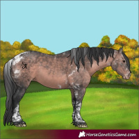 Horse Color:Platinum Brown Tobiano Varnish Rabicano 