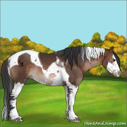 Horse Color:Brown Splash Tobiano Rabicano 