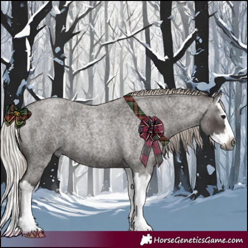 Horse Color:Gray Silver Blue Roan Splash 
