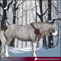 Horse Color:Gray Silver Blue Roan Splash 