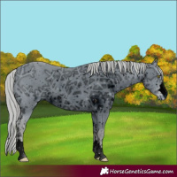 Horse Color:ERROR: UNKNOWN ANOMALY