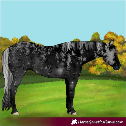 Horse Color:ERROR: UNKNOWN ANOMALY