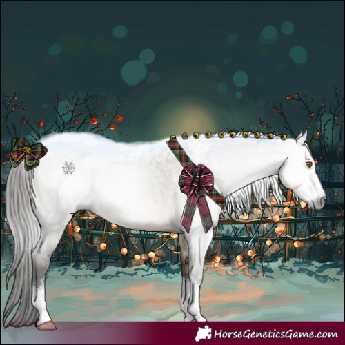 Horse Color:Gray Buckskin Roan Dun Sabino 