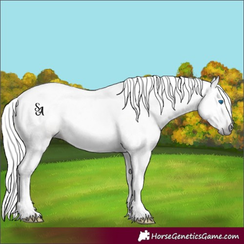 Horse Color:Gray Void Sable Champagne Dun Splash 