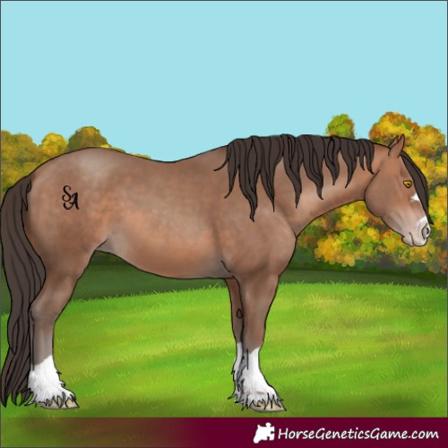 Horse Color:Sable Champagne 