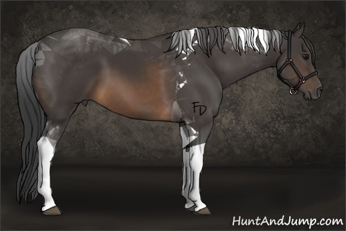 Horse Color:Buckskin Tobiano 