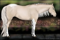 Horse Color:Silver Buckskin Pearl Tobiano 
