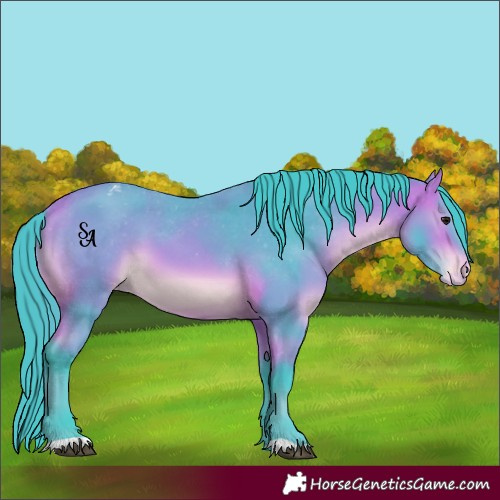 Horse Color:Watercolor Bay Appaloosa 