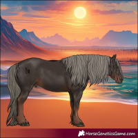 Horse Color:Liver Chestnut Mushroom 