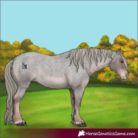 Horse Color:Liver Red Roan Mushroom Varnish Rabicano 