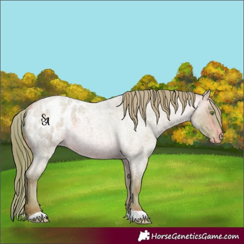 Horse Color:Watercolor Sable Champagne Roan Mushroom Appaloosa 