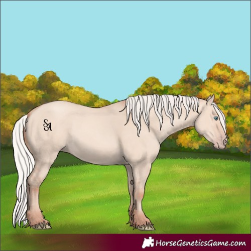 Horse Color:Silver Amber Champagne Dun Mushroom Rabicano 