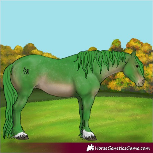 Horse Color:Watercolor Brown Appaloosa Rabicano 