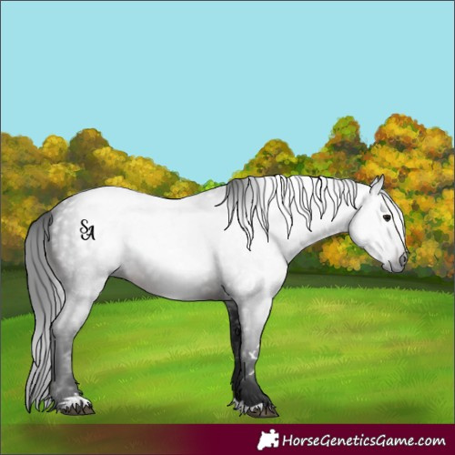 Horse Color:Gray Brown Mushroom