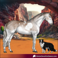 Horse Color:Gray White Spotted Liver Red Dun Mushroom Splash Tobiano 