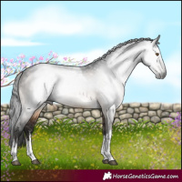 Horse Color:Gray White Spotted Brown Dun Mushroom Tobiano Brindle 