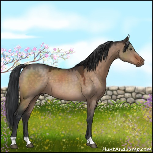 Horse Color:Brown Dun Mushroom 