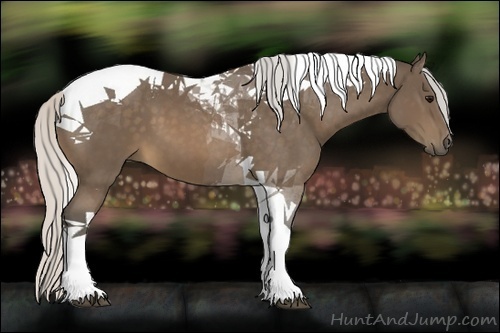 Horse Color:Silver Buckskin Tobiano 