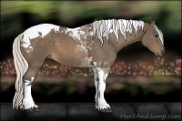 Horse Color:Silver Buckskin Tobiano 