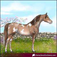 Horse Color:White Spotted Liver Chestnut Pearl 