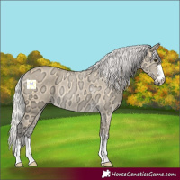Horse Color:Silver Buckskin Ice 