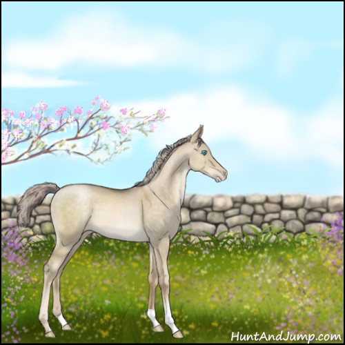 Horse Color:Chocolate Palomino Pearl Dun 