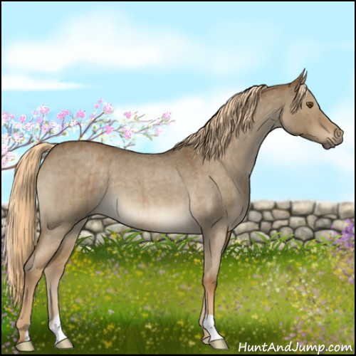 Horse Color:Chocolate Palomino Roan Dun Mushroom Brindle 